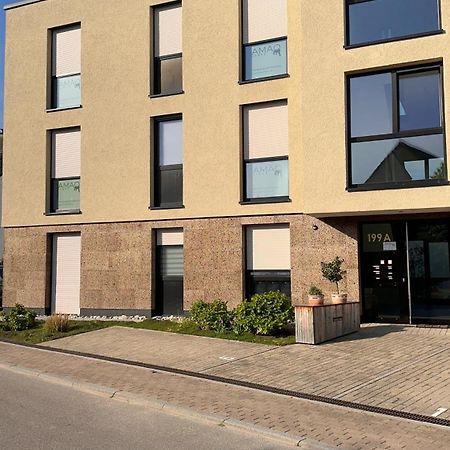 Amao-Sepia I 86Qm I King-Size Beds I Netflix I Privat Balcony I Free Parking I Near Europapark Lejlighed Rheinhausen Eksteriør billede