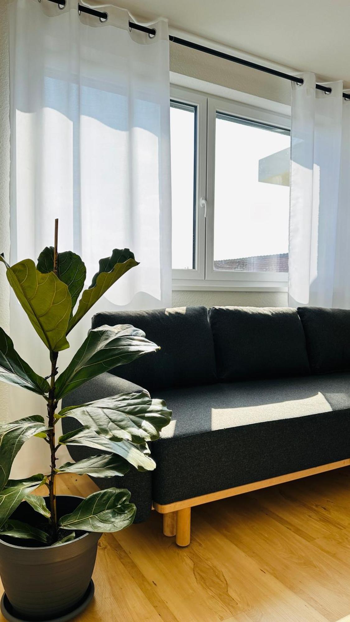 Amao-Sepia I 86Qm I King-Size Beds I Netflix I Privat Balcony I Free Parking I Near Europapark Lejlighed Rheinhausen Eksteriør billede